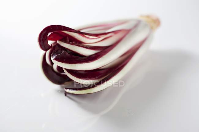 Chicorée Trevisio rouge sur surface blanche — Photo de stock