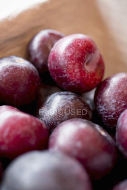 Prunes mûres rouges — Photo de stock