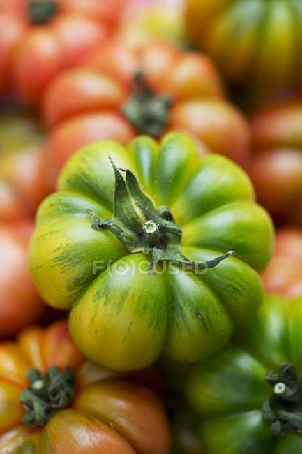 Різні помідорів біфштекс — стокове фото