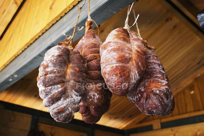 Low angle view of spicy Kulen sausages handing from ceiling indoors — Stock Photo