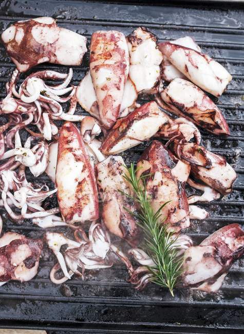 Calamari su un barbecue con foglie di rosmarino — Foto stock