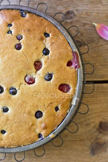 Berry cake in baking tin — Stock Photo