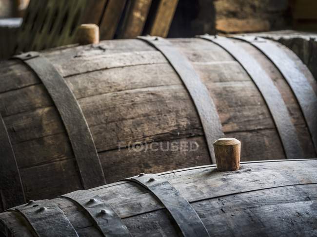 Oak barrels with wooden bungs in a cellar — Stock Photo