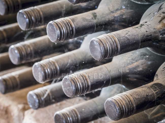 Vista de cerca de los cuellos de botellas de vino en telaraña y polvo - foto de stock