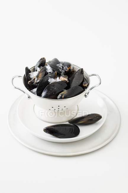 Mussels in colander over plate — Stock Photo