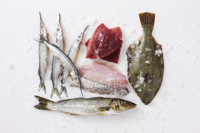 Pesce crudo e filetti di pesce — Foto stock