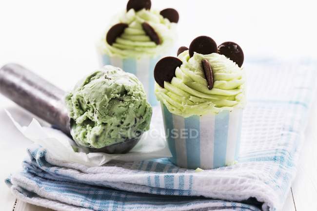 Mint chocolate chip cupcakes — Stock Photo