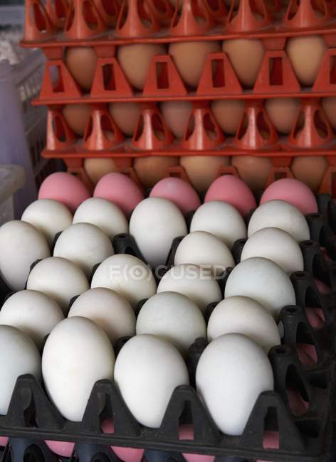 Thai eggs in stacked egg boxes — Stock Photo