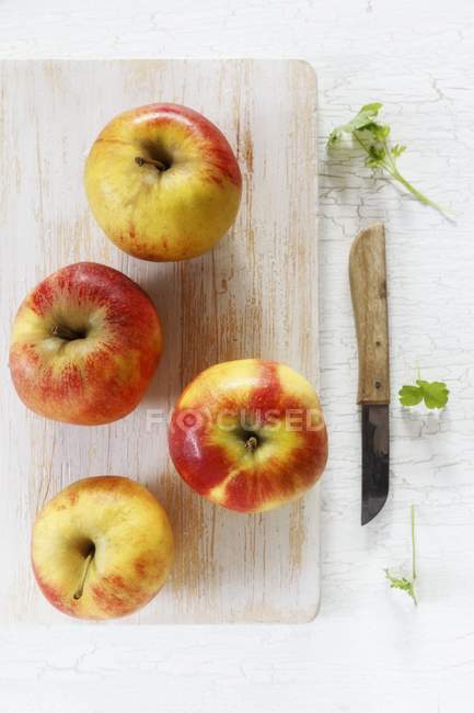 Elstar reife Äpfel — Stockfoto