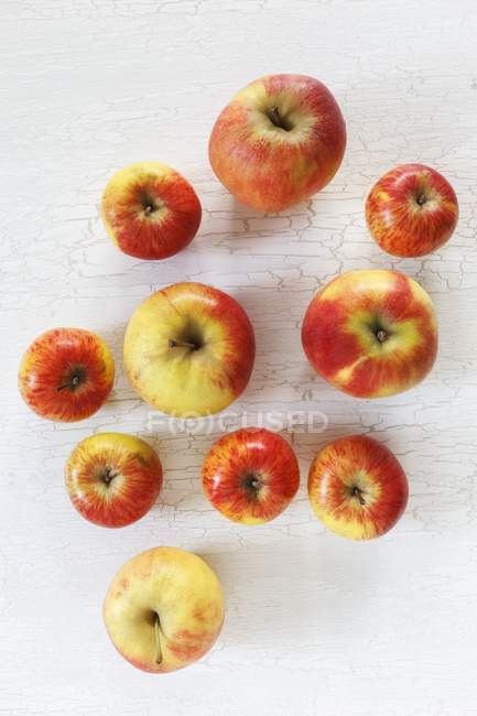 Manzanas maduras Elstar y Topaz - foto de stock