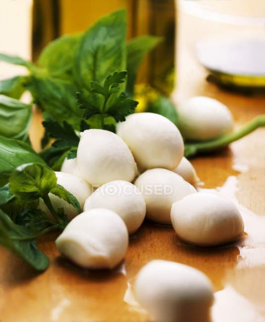 Mozzarella et basilic frais — Photo de stock