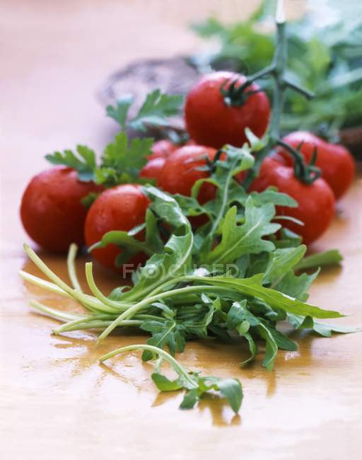 Tomates vermelhos e foguete — Fotografia de Stock