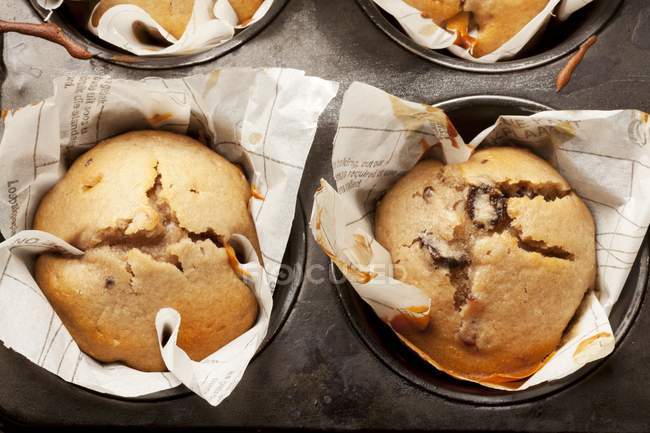 Muffin alla vaniglia e mirtillo rosso — Foto stock