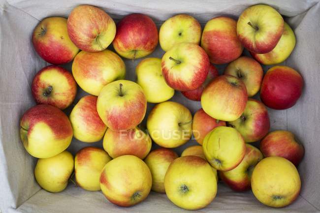 Cesta de manzanas frescas - foto de stock