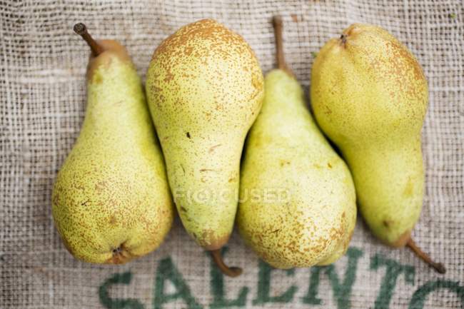 Fresh ripe pears — Stock Photo