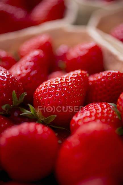 Erdbeeren im Papierpunnet — Stockfoto