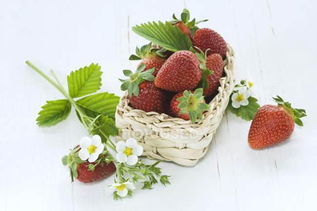 Fresas con hojas y flores - foto de stock