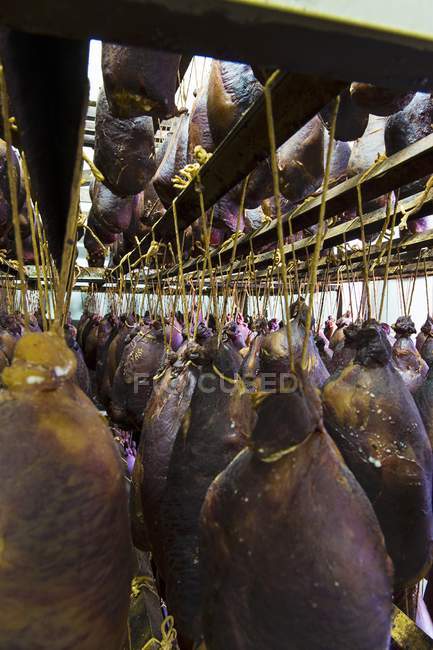 Drying meat pieces hanged in rows — Stock Photo