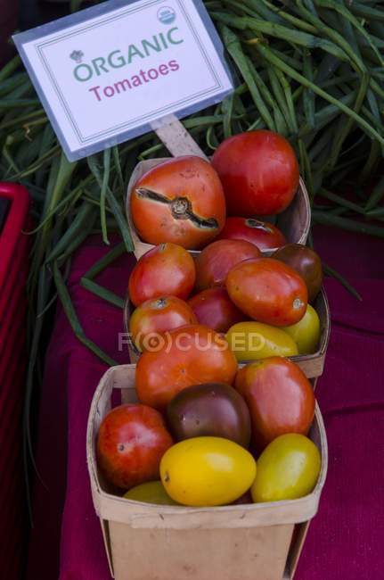 Tomates orgánicos coloridos - foto de stock