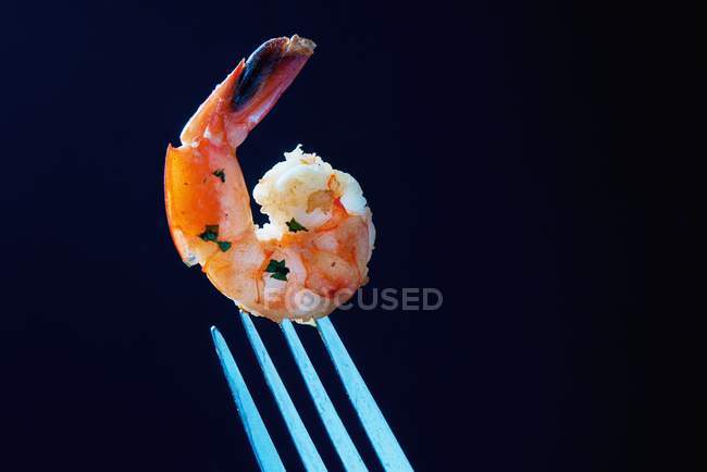 Un gambero all'aglio sulla forchetta su sfondo nero — Foto stock