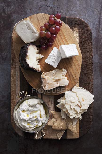Mixed cheese platter — Stock Photo