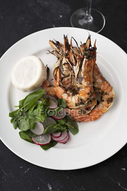 Top view of grilled scampi with salad — Stock Photo