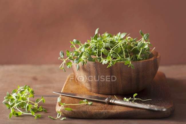 Fresh Thyme in wooden bowl — Stock Photo