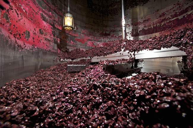 Rotweinmost im Mixer rühren — Stockfoto