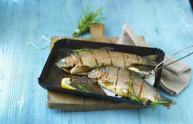 Grilled trout with herb and lemon in baking tray — Stock Photo