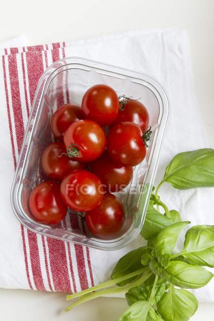 Cocktail tomatoes in plastic planet — Stock Photo