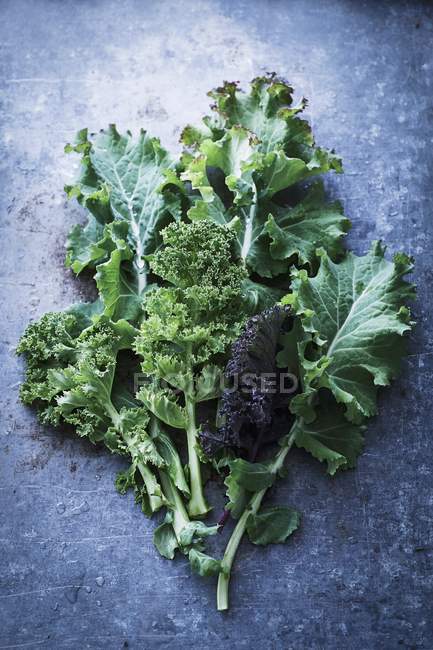Fresh green and purple kale leaves — Stock Photo