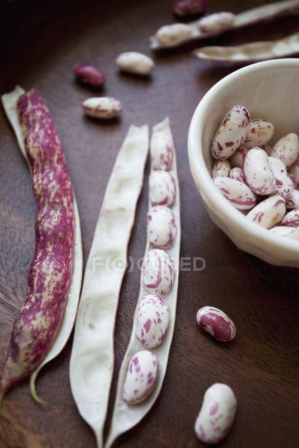 Fresh borlotti beans with pods — Stock Photo