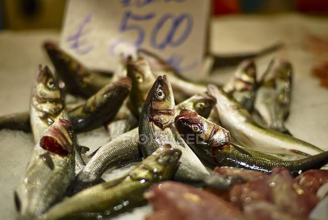 Мелкая рыба в куче на фермерском рынке — стоковое фото