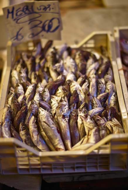 Vista elevada del pescado ahumado en una bandeja con etiqueta de precio - foto de stock