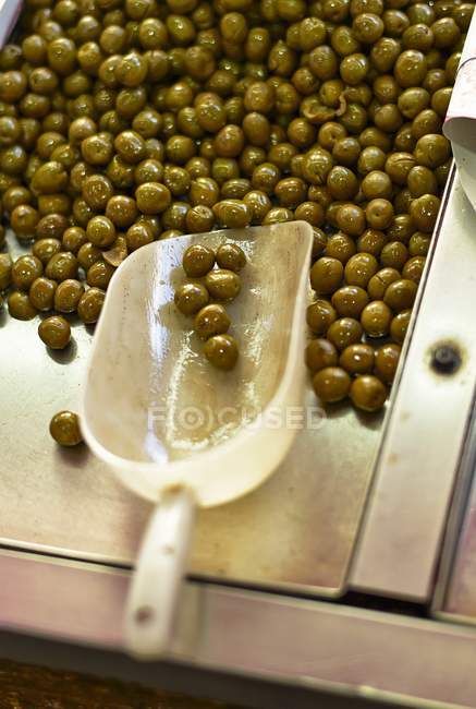 Preserved green olives — Stock Photo