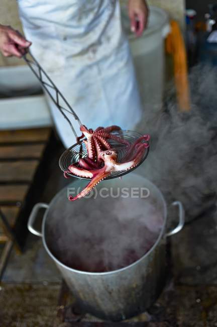 Elevated cropped view of person holding boiled octopus on skimmer over steaming pot — Stock Photo