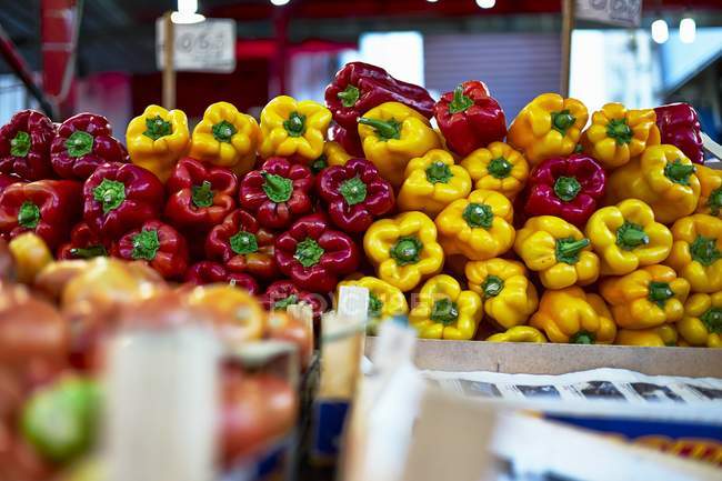 Fresh red and yellow Peppers — Stock Photo