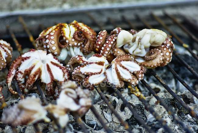 Closeup view of octopuses on a barbecue rack — Stock Photo