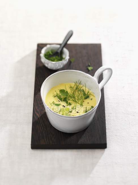 Sopa de pepino estofado con eneldo y cilantro - foto de stock