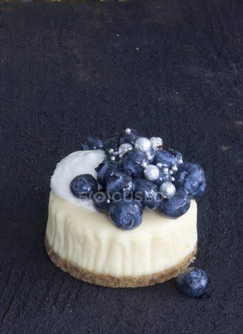 Baked Blueberry tartlet — Stock Photo