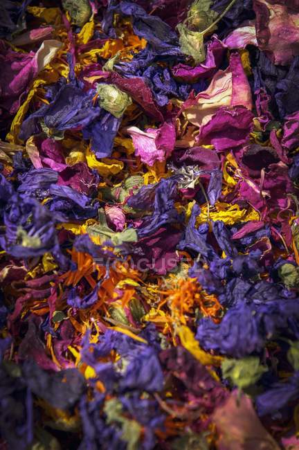 Closeup view of a mixture of herbs and flower petals — Stock Photo