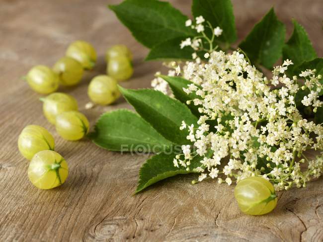 Fresh Elderflowers and gooseberries — Stock Photo