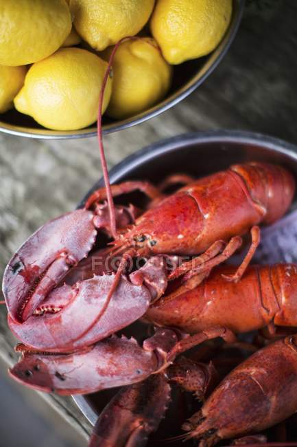 Closeup view of cooked lobsters with lemons — Stock Photo