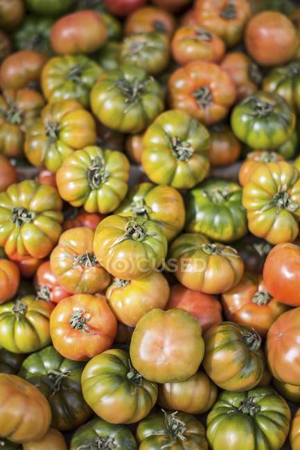 Un montón de tomates reliquia - foto de stock