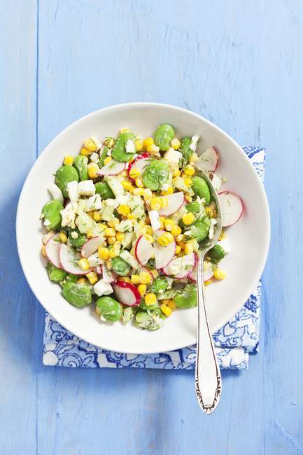 Salada de feijão com rabanetes e pepinos — Fotografia de Stock