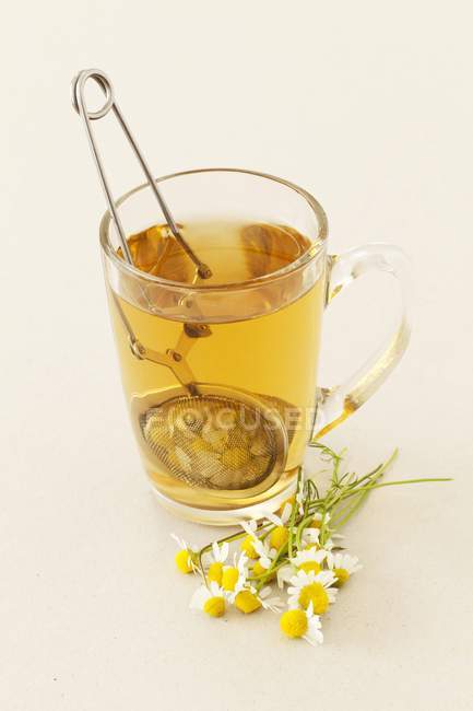 Vaso de té de manzanilla - foto de stock