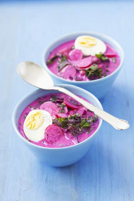 Cold beetroot soup with radishes — Stock Photo