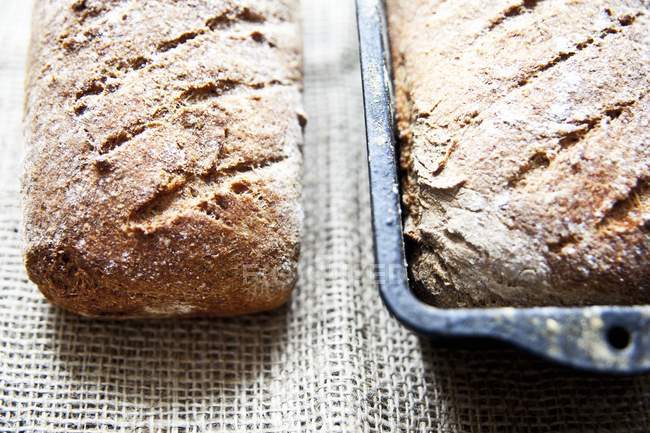 Freshly baked wholemeal bread — Stock Photo