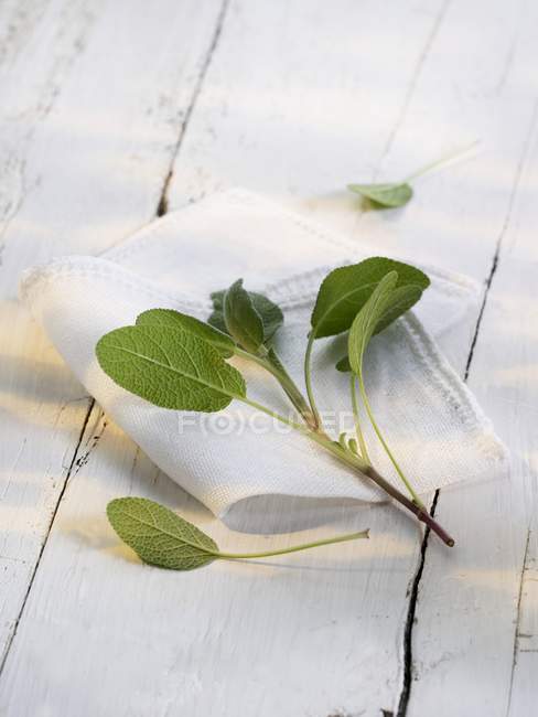 Fresh sage on a cloth — Stock Photo