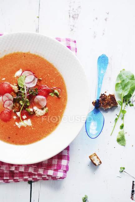 Gazpacho mit Radieschen im Teller — Stockfoto